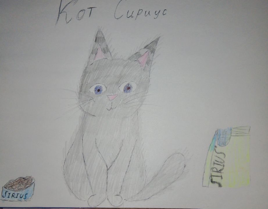 Екатерина Дмитревна Романова