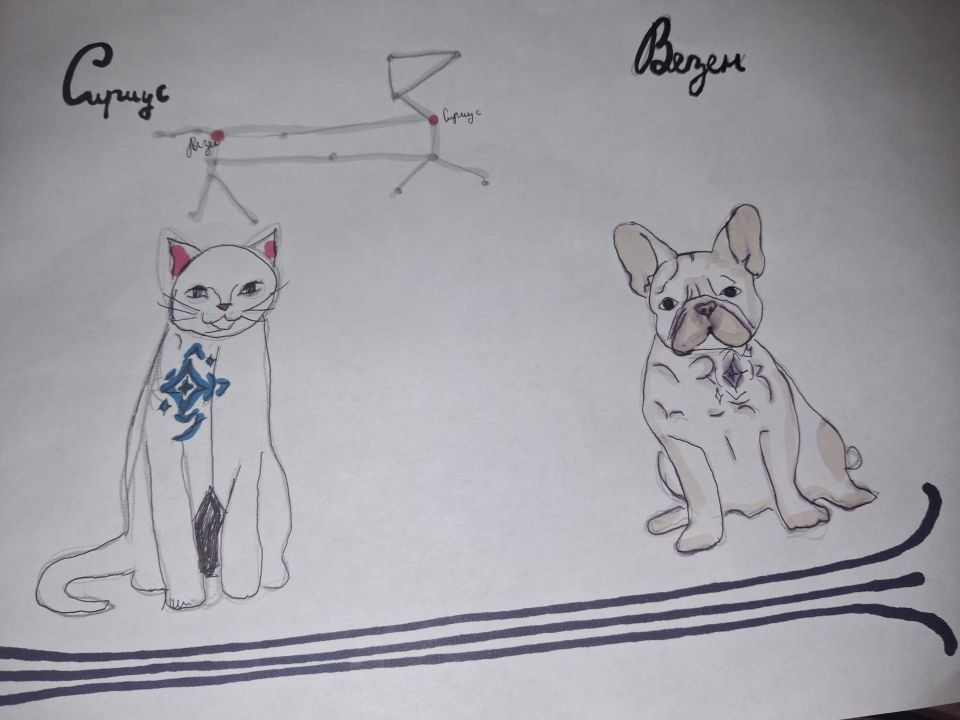 Варвара Алексеевна Матвеева