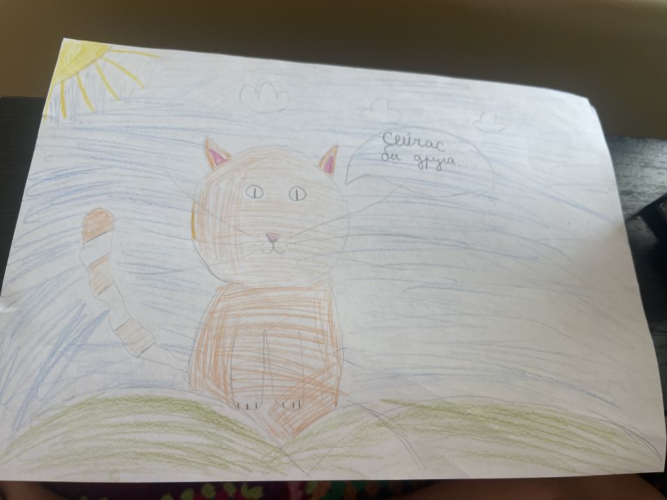 Лейла Динаровна Гареева