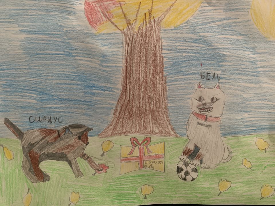 Валерия Денисовна Конина