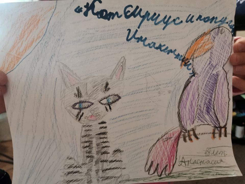 Анастасия Евгеньевна Наймушина