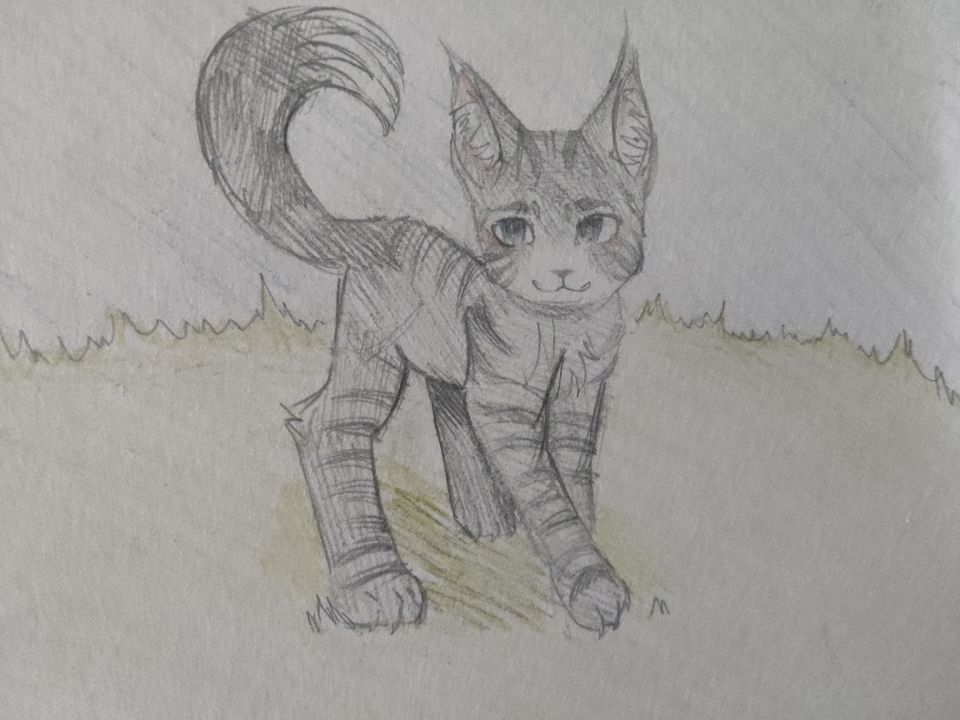 Настя Дмитриевна Паршакова