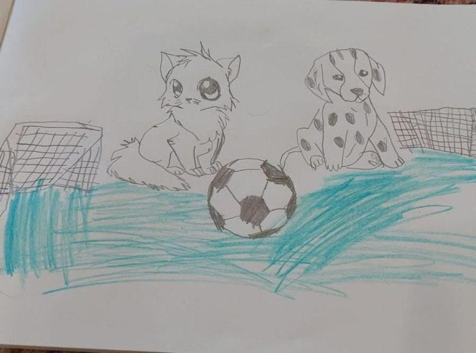 Даниял Сергеевич Каймарасов