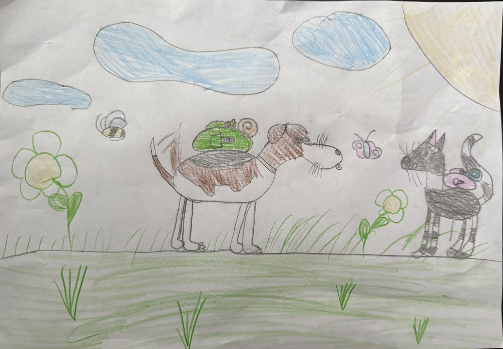 София Шеходанова