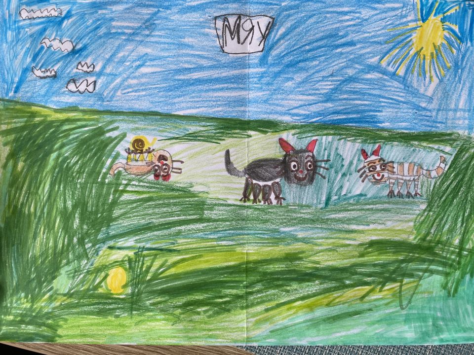 Владислав Александрович Болотин