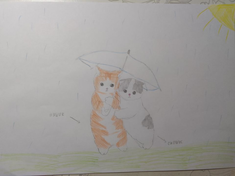 Милана Евгеньевна Приточкина