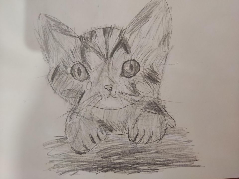 Таня Пивоварова