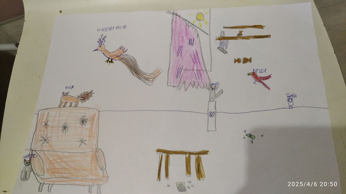 Алиса Сергеевна Дорофеева