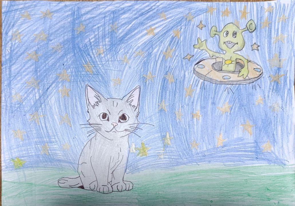 София Александровна Котова