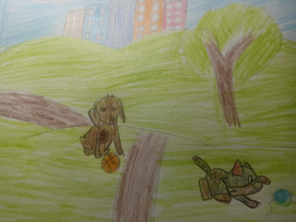 керим эрвинович мурадасилов