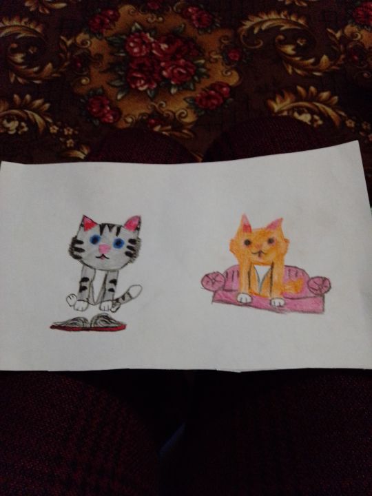 Амира Валерьевна Березина