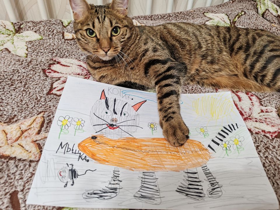 Егор Александрович Надин