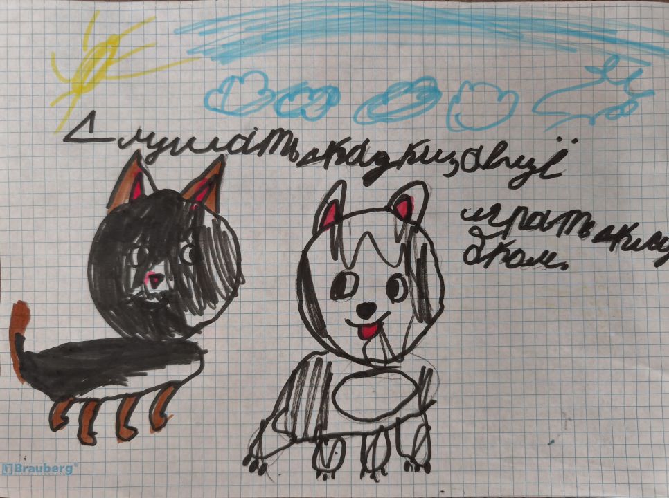 Миша Степанюк