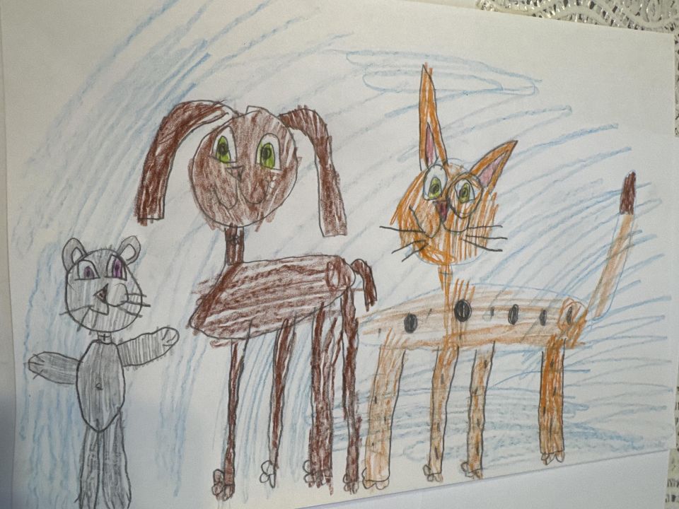 Екатерина Владимировна Аброшина