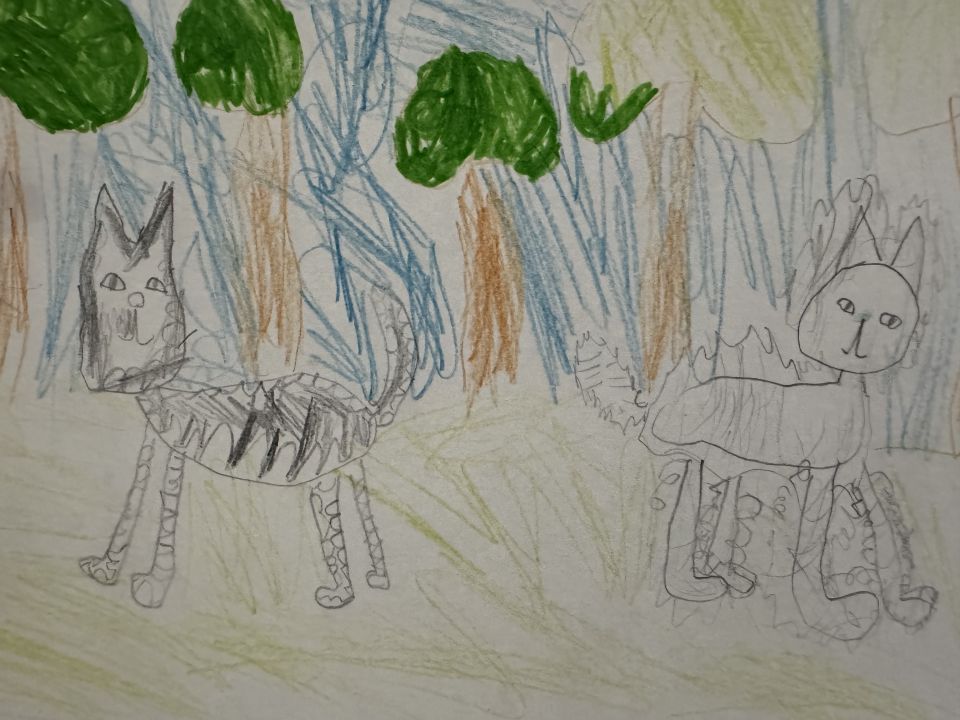 София Игоревна Сухенко