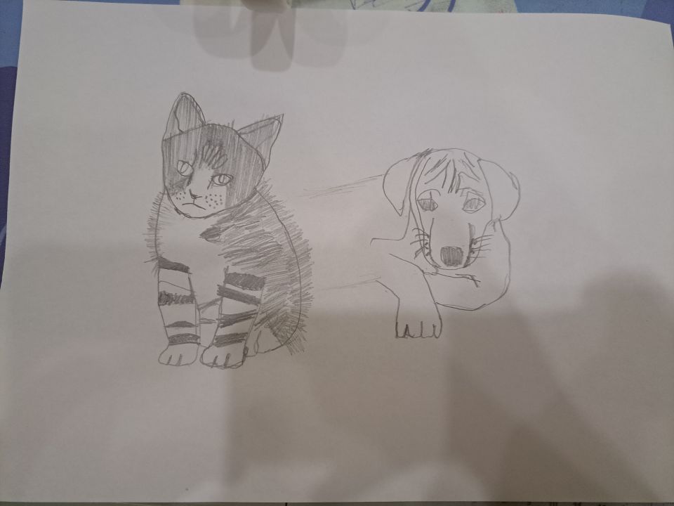 Анастасия Евгеньевна Неганова