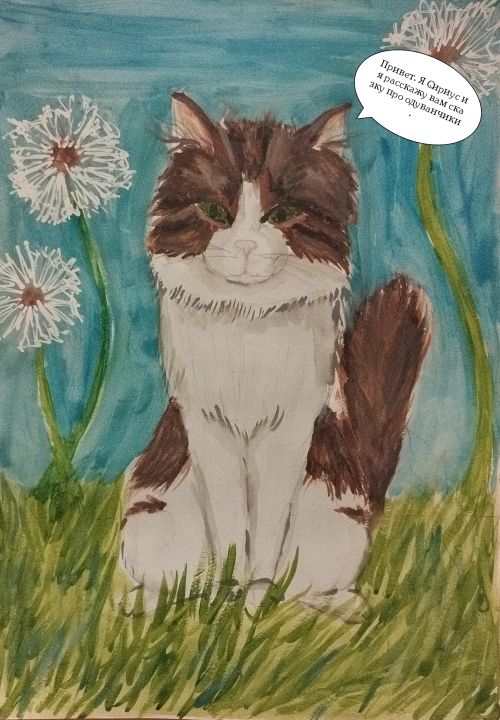 Полина Сергеевна Тихенко