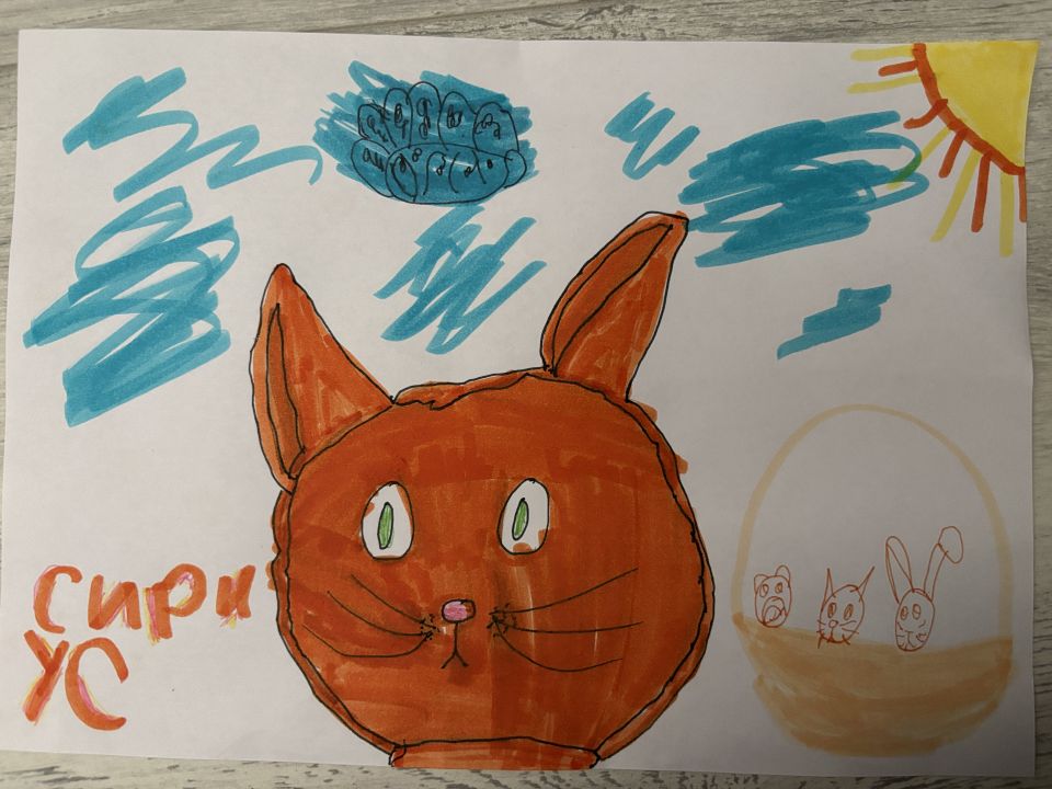 Елизавета Витошкина