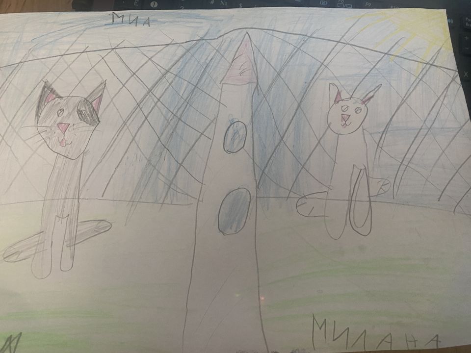 Милана Евгеньевна Фроликова