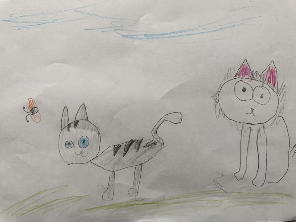 Милана и Марьяна Павловна Богдановы