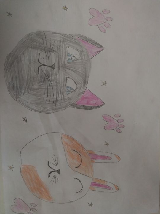 Сафия Игоревна Козбаненко