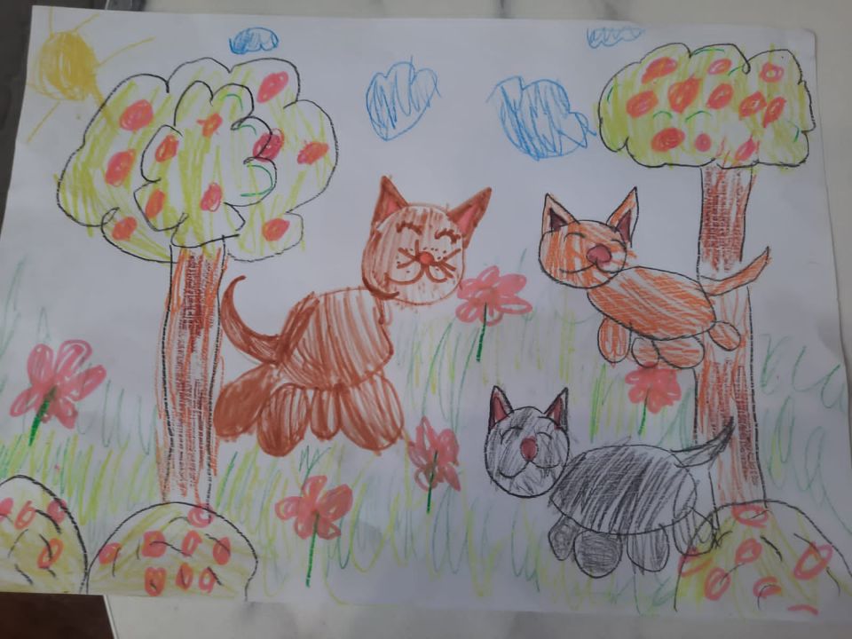 Анна Олеговна Правдина