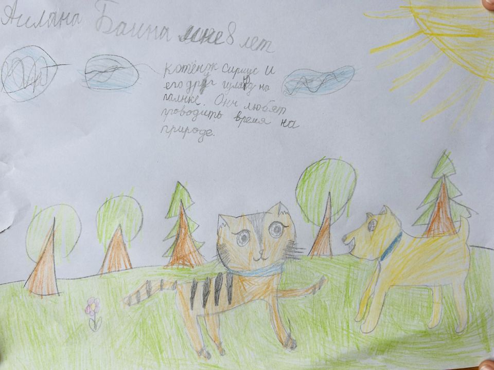 Аилана Николаевна Баина