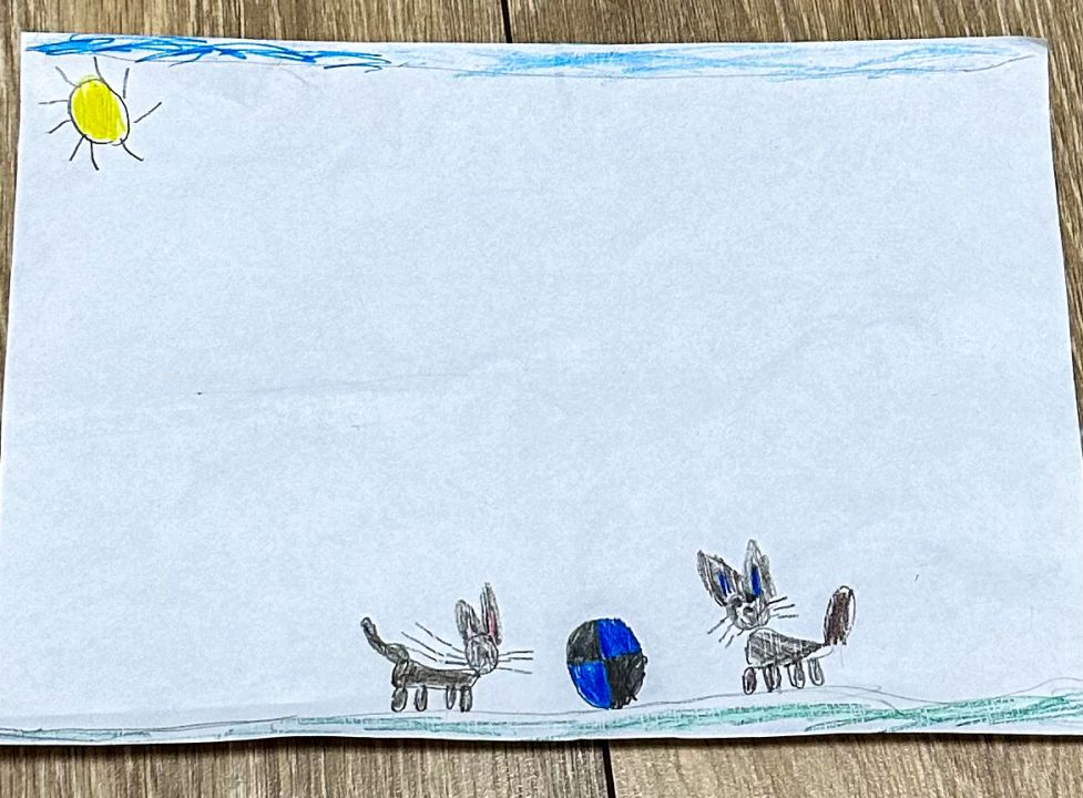 Диана Эмилевна Жаде