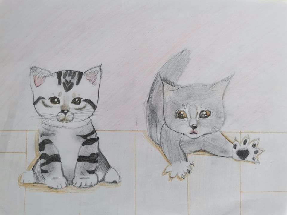 Настя Алексеевна Сорокина