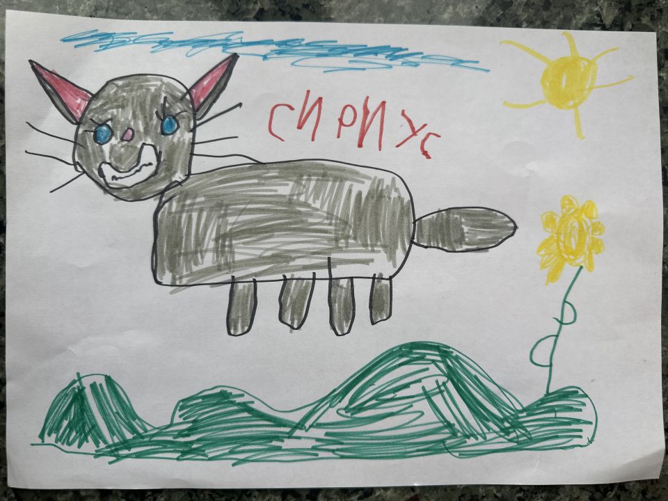 Миша Бойчевский