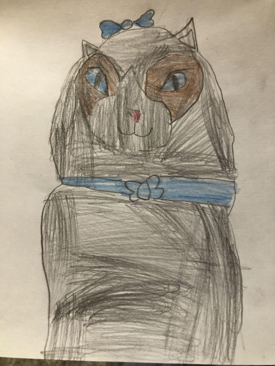 Амина Калимуллина