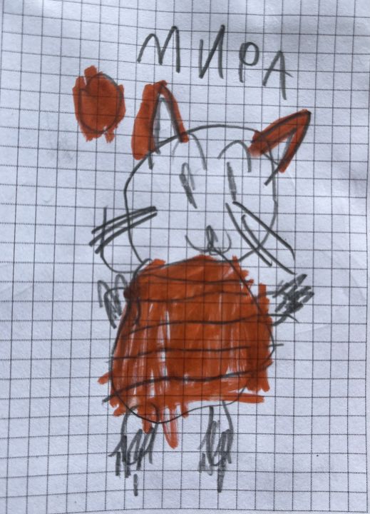 Мира Холина