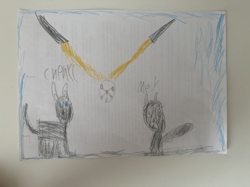 Давид Савка