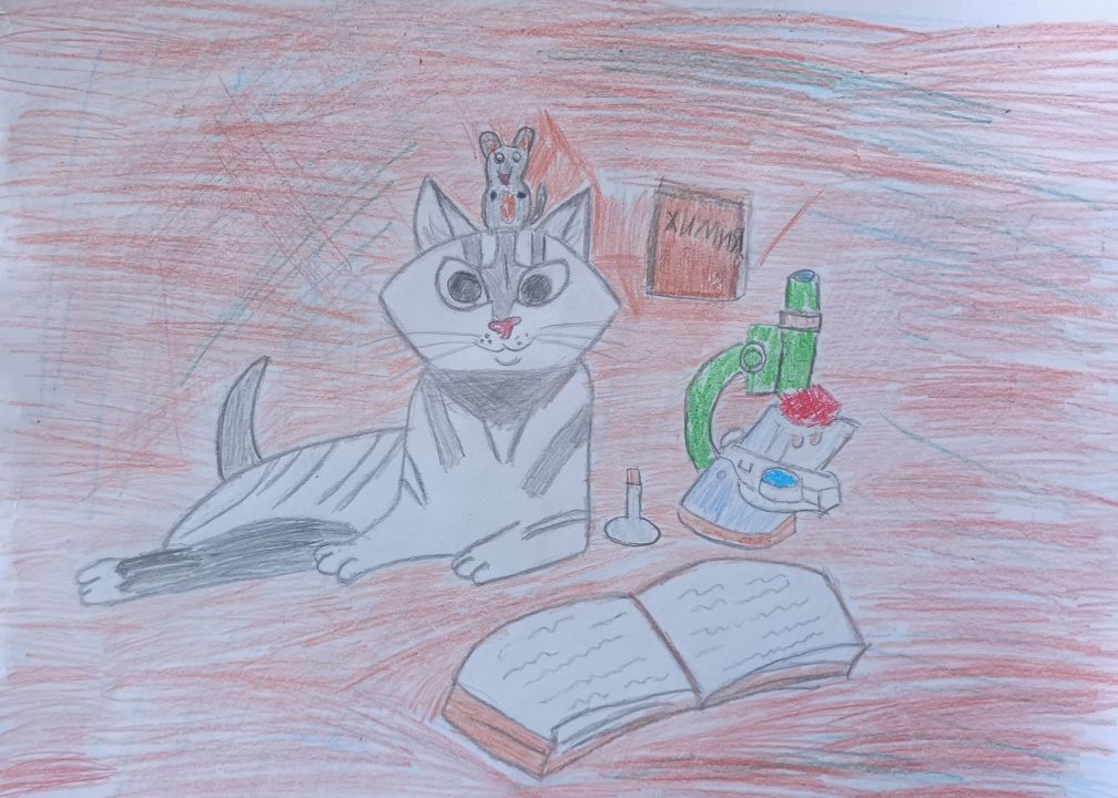 Мирослава Коваленко