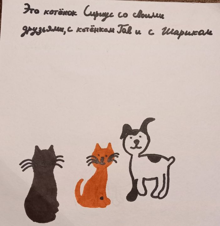 Даша Олеговна Корепанова