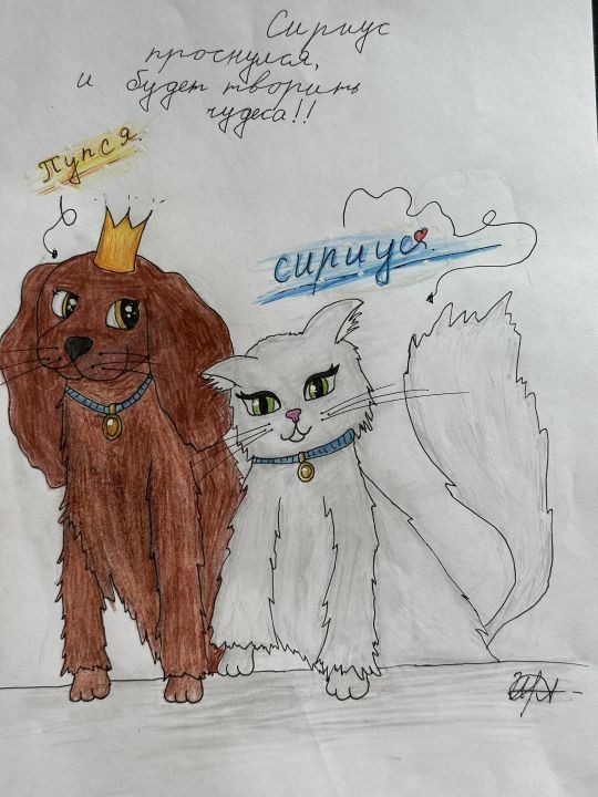 Иманшапиева Асхабовна Амира