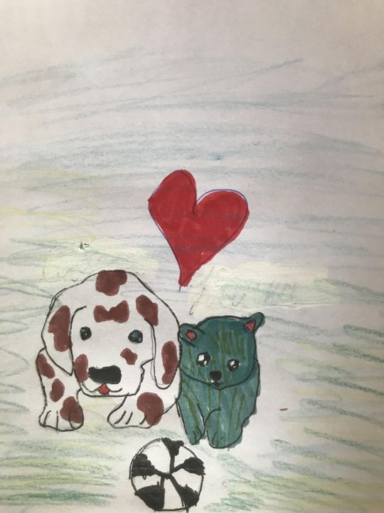 Ильмира Альбертовна Кашапова