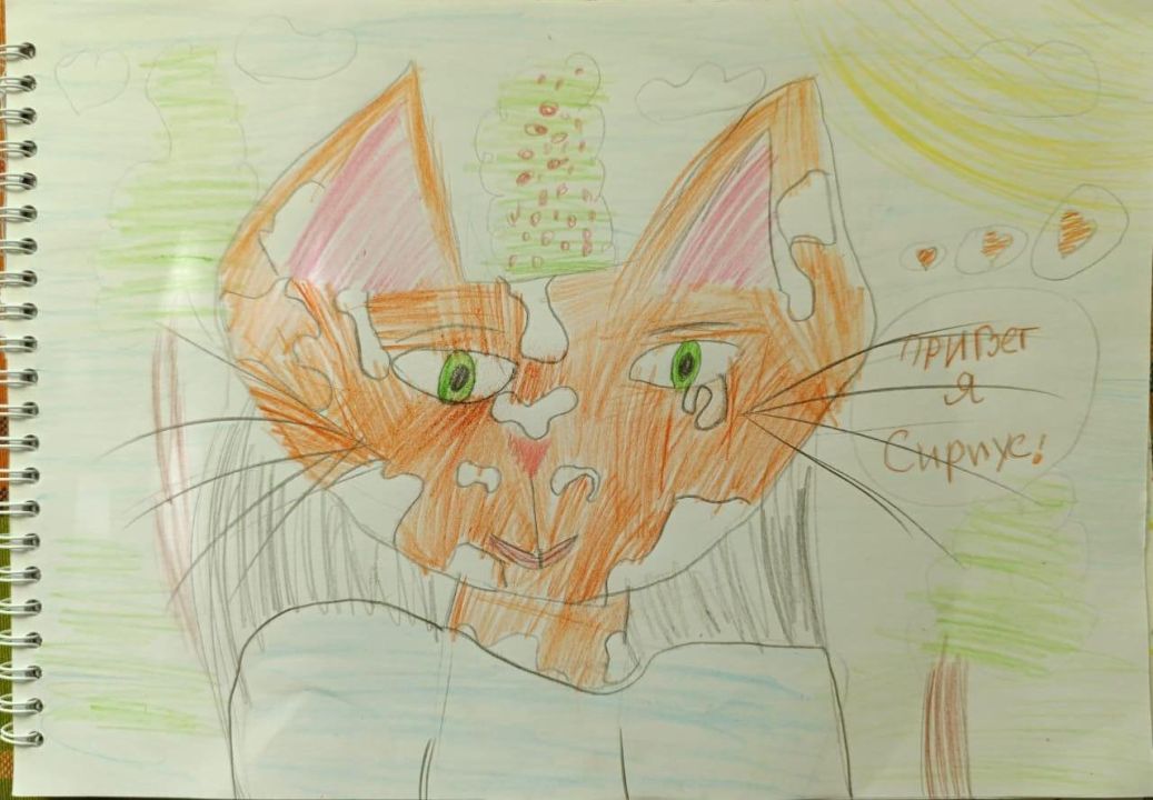 Софья Андреевна Крашенинникова