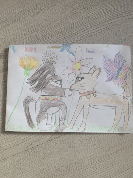 Дарья Романовна Вербицкая