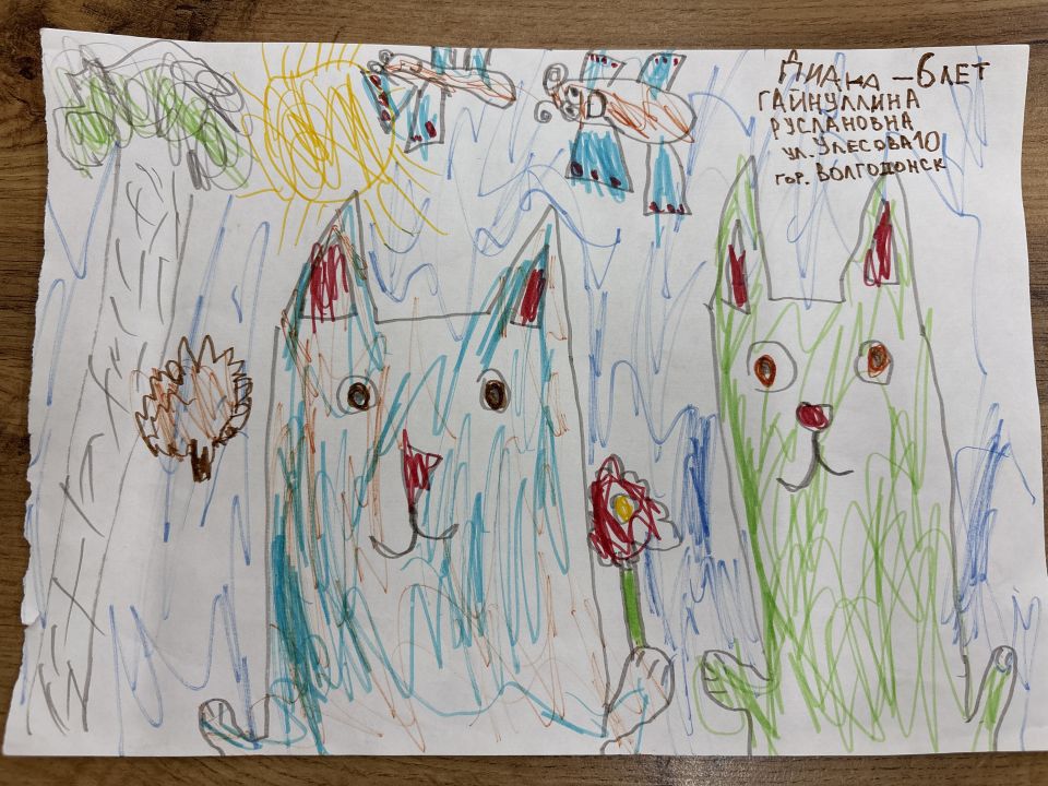 Диана Руслановна Гайнуллина