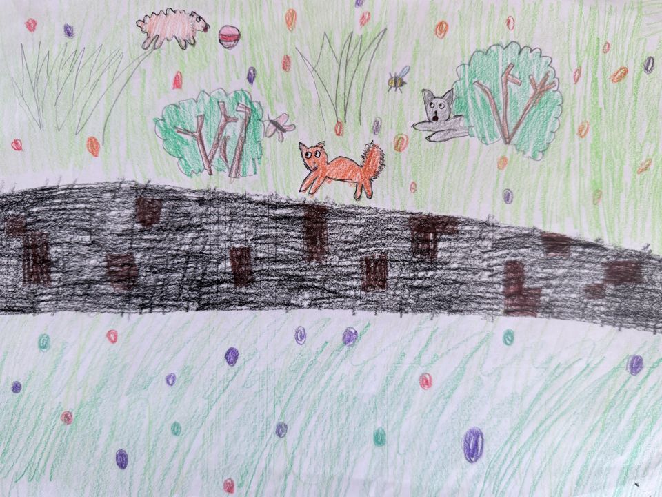 Вера Константиновна Комаровских