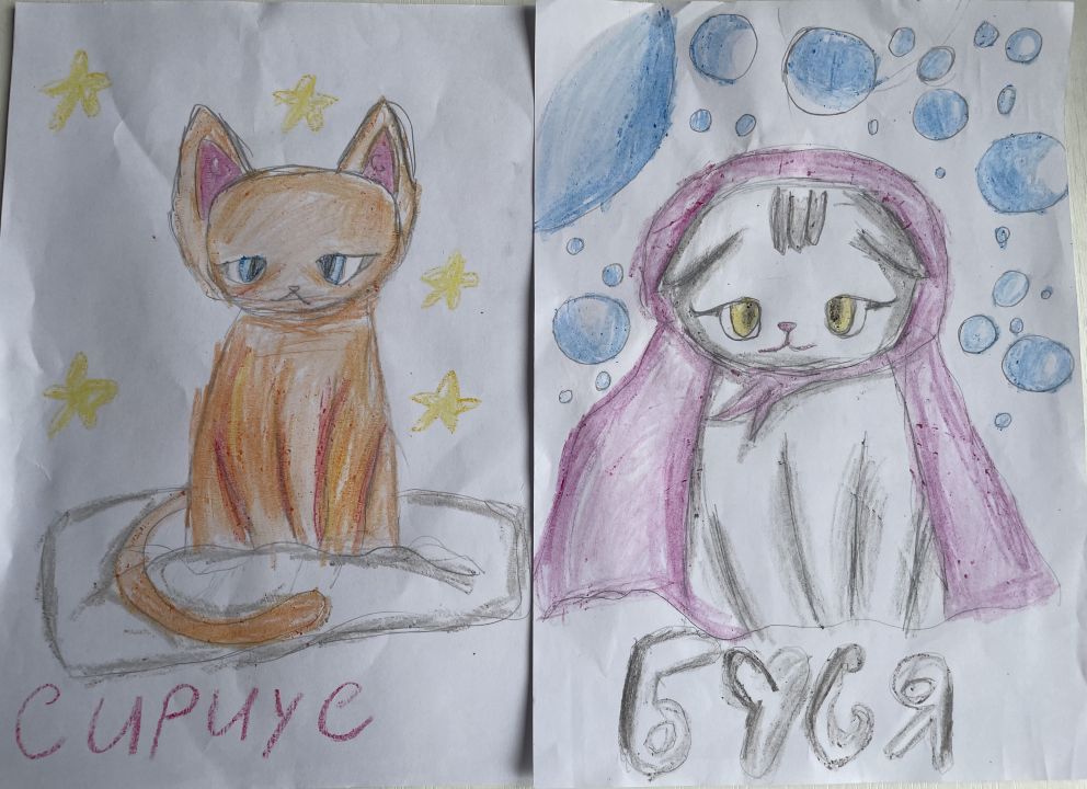 Алина Басировна Джабраилова