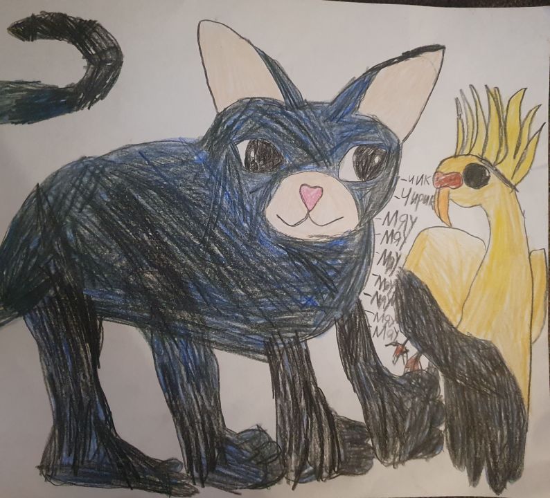 Кирилл Тамэр магди Тауфик