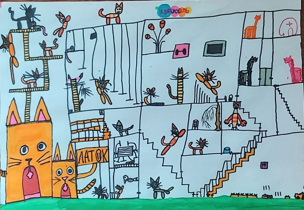 Валерия Анатольевна Пичкаева