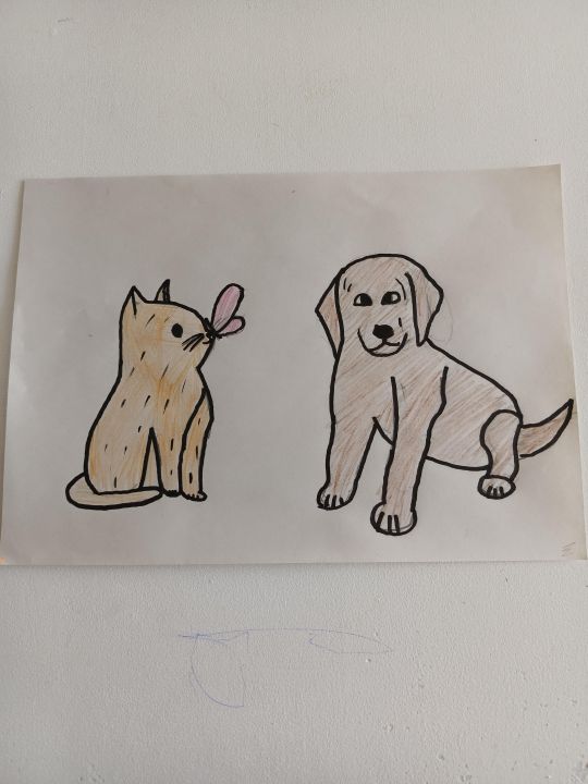 Ярослав Андреевич Петров