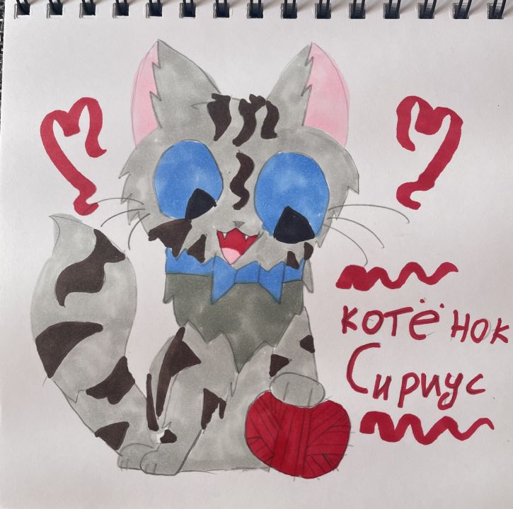 Дарья Романовна Попова