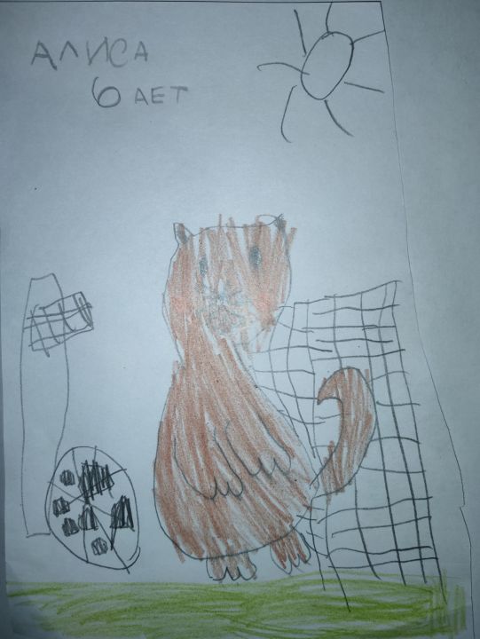 Алиса Комарова