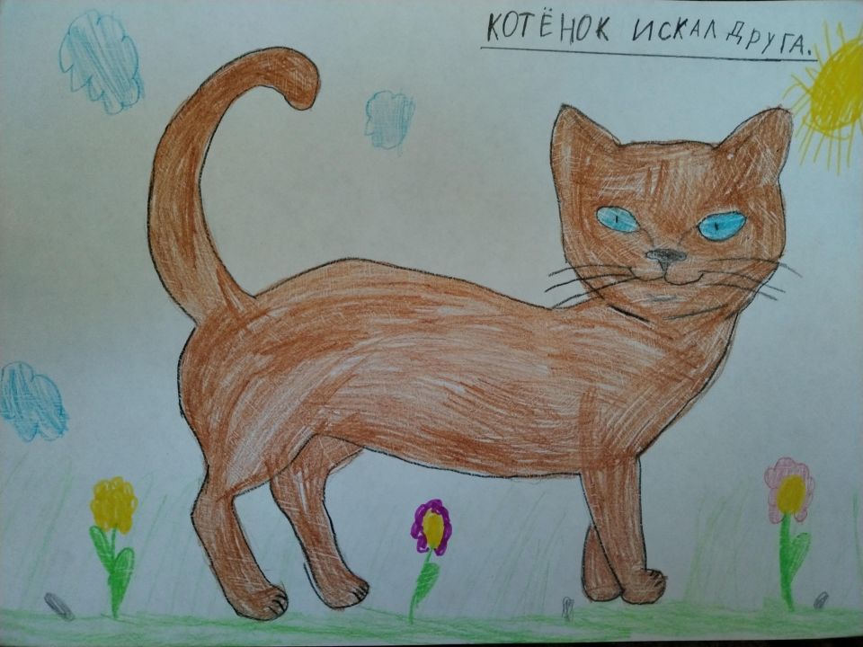 Тимур Евгеньевич Тен