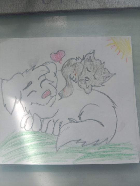 Алина Павловна Ханенкова