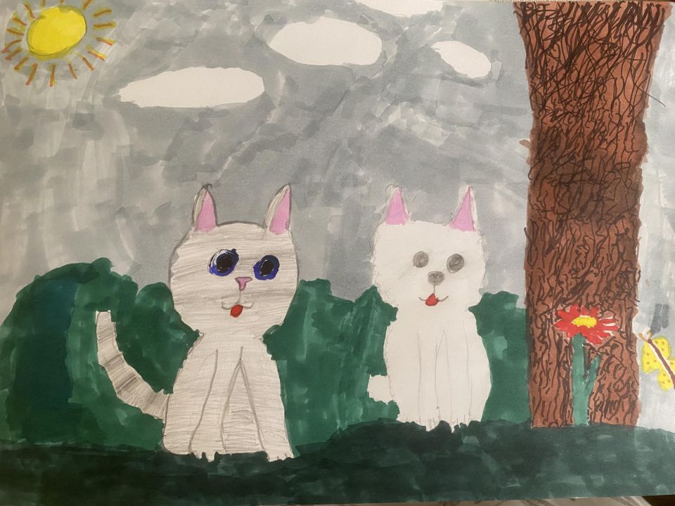 Алина Эдуардовна Садилова